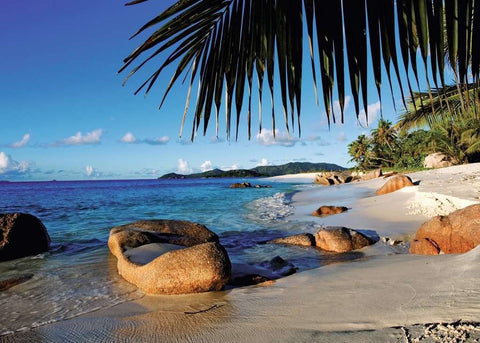 Ravensburger: Puzzle 1000 Under the Palms - RAVENSBURGER dėlionė - HOBI.LT 🇱🇹