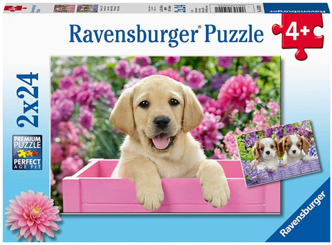 Dėlionė Ravensburger 2x24 d. vaikams — geltonas labradoro šuniukas rožinėje dėžėje prie žydinčių gėlių
