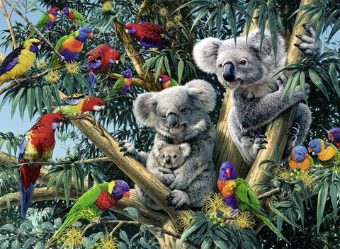 Ravensburger: Puzzle 500 Koalas - RAVENSBURGER dėlionė - HOBI.LT 🇱🇹