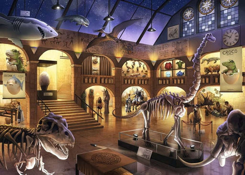 Plakatas muziejaus interjeras su apšviestais dinozaurų skeletais ir žvaigždėtu stogu, plataus kampo iliustracija, A2 formato variantas