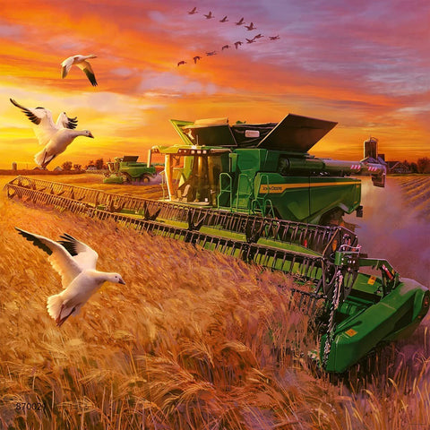 Kombainas John Deere žalias priekinis kampas, derliaus pjovimas kviečiuose saulėlydžio fone su skrendančiais paukščiais