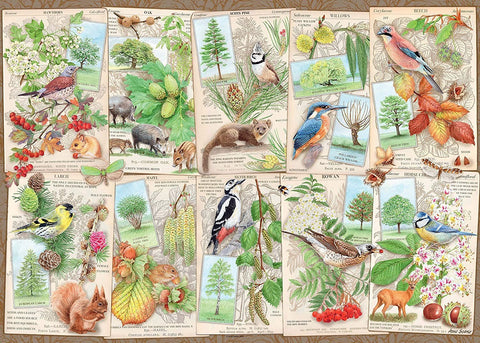 Dėlionė su retro botaninių iliustracijų koliažu — spalvingi paukščiai, įvairūs medžiai ir smulkūs gyvūnai, detalus variantas galerijoje