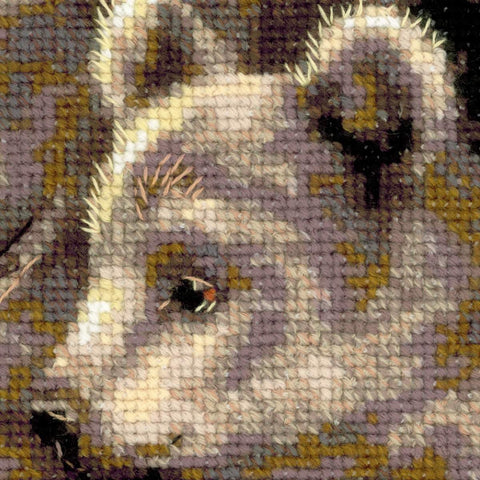 kryželiu siuvinys, artima siūlų tekstūra ir smulkios akies detalės, rodoma maždaug 10×10 cm siūlų zonoje