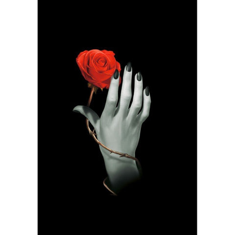 Lo Scarabeo: Rose Hand Užrašinė - HOBI.LT 🇱🇹