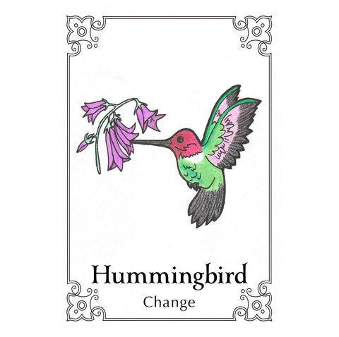 Animal Dreaming: Sacred Bird Oracle kortos - HOBI.LT 🇱🇹