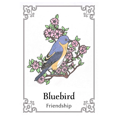 Animal Dreaming: Sacred Bird Oracle kortos - HOBI.LT 🇱🇹
