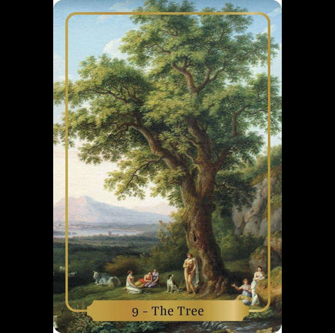 Animal Dreaming: Sacred Blessings Oracle kortos - HOBI.LT 🇱🇹