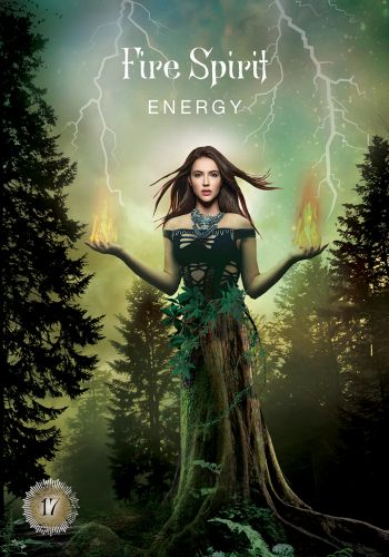 Hay House: Sacred Forest Oracle kortos Hay House - HOBI.LT 🇱🇹