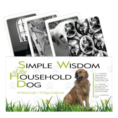 Orakulo kortų rinkinys „Simple Wisdom of the Household Dog“ su 44 juodai baltomis kortomis ir dėže, ant kurios auksaspalvis retriveris