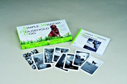 kortų žaidimas Simple Wisdom Household Dog — žalia dėžutė su atverstu dangčiu ir išskleistomis juodai baltomis šunų kortelėmis