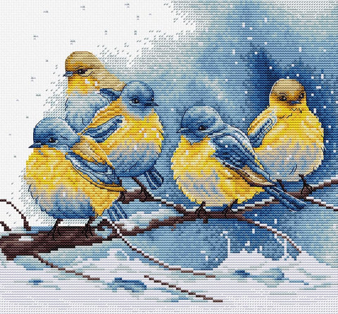 Kryželių rinkinys su penkiais geltonai–mėlynais paukščiais ant snieguotos šakos, 30×40 cm komplektas