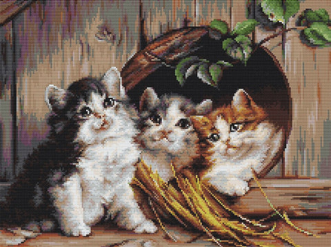 Siuvinėjimo rinkinys Friendly Shelter, Aida 16, Anchor siūlai, 28,5×35,5 cm