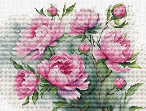 Siuvinėjimo rinkinys su rožinėmis bijūnėmis, detalus audinio tinklelis ir siūlų atspalvių kontrastas, 40×30 cm