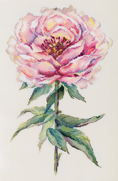 Kryželių siuvinėjimo rinkinys „Bijūnas“ 25,5×38,5 cm – elegancija namams