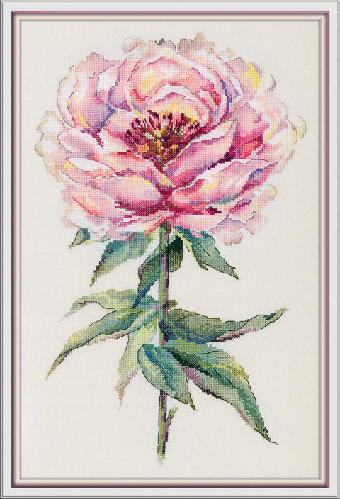 Kryželių siuvinėjimo rinkinys „Bijūnas“ 25,5×38,5 cm – elegancija namams
