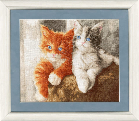 Kryželių paveikslas rėme 30×40 cm su oranžiniu ir pilku kačiuku, mėlynomis akimis ir melsvu pasvydymu, artimas planas