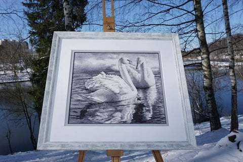 Siuvinėtas paveikslas kryželiu, juodai baltas gulbių motyvas įrėmintas baltu sendintu rėmu, fotografuotas lauke prie snieguoto ežero