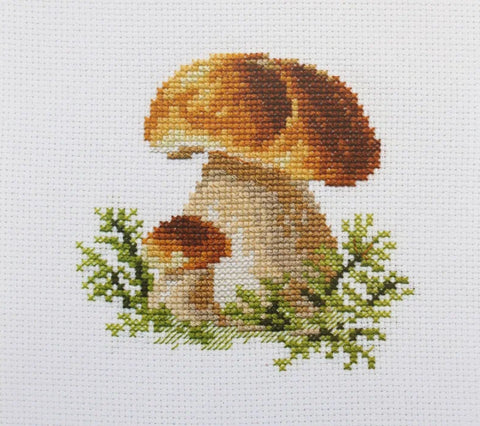 kryželių rinkinys su rudų baravykų motyvu ant baltos Aida drobės, baigtinis pavyzdys, matmenys apie 15×15 cm