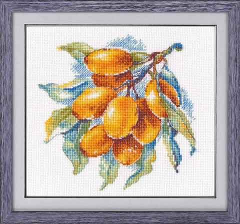 Kryželių paveikslas Abrikozai su violetiniu mediniu rėmu, 30×30 cm — detalių siūlių ir ryškių spalvų pavyzdys