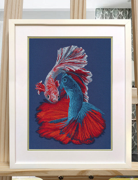 Siuvinėtas paveikslas: rėminis 30×40 cm Betta karpių motyvas mėlynos ir raudonos spalvos, eksponuotas ant molberto