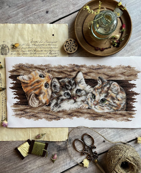 Siuvinėjimo rinkinys su trimis kačiukais, rudos ir pilkos spalvų paletė, 30×15 cm, stilizuota flatlay kompozicija su siūlais ir žirklėmis