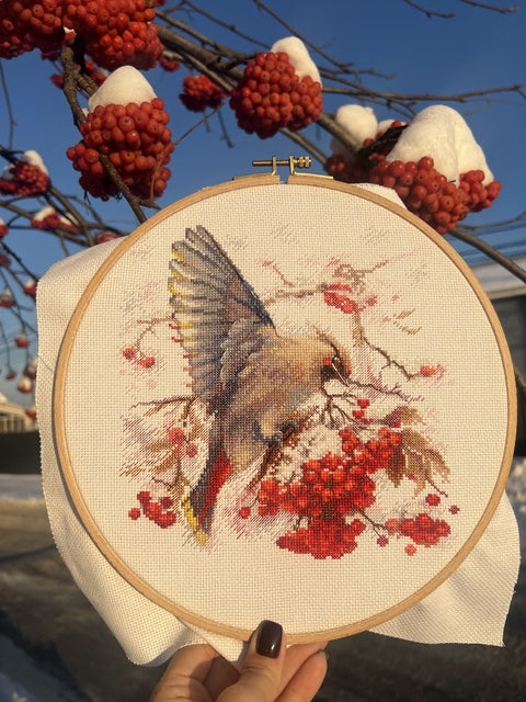 Siuvinėjimo rinkinys kryželiu „Waxwing“, paukštis, 19×19,5 cm