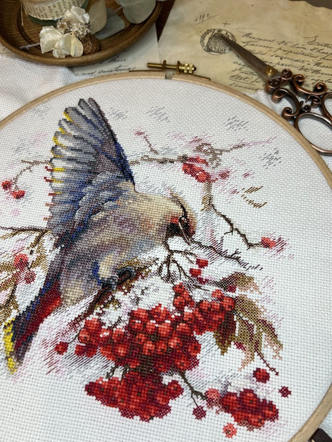 Siuvinėjimo rinkinys kryželiu „Waxwing“, paukštis, 19×19,5 cm