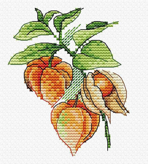 Rudens žibintas – kryželiu siuvinėjimo rinkinys, Aida 14, 11×10 cm, 13 spalvų
