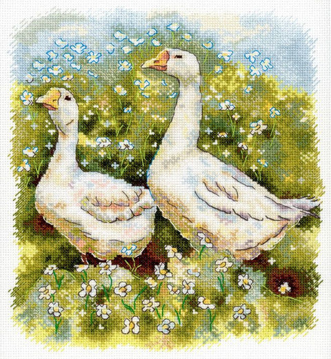 Kryželiu siuvinėjimo rinkinys du baltų žąsų vaizdas pievoje su mėlynais žiedais, detalus 30×30 cm galerijos variantas