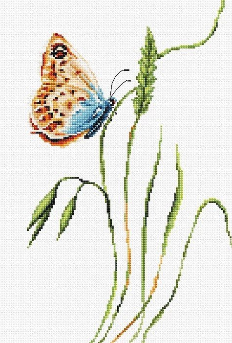 Kryželių rinkinys: mėlynos‑oranžinės spalvų drugelis ant ilgų žolių, baigta 20×30 cm dekoracija