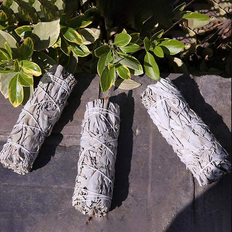 Baltasis šalavijas, 3 lazdelės rinkinys, apie 10–12 cm kiekviena, skirtas namų bei ritualiniam energetiniam valymui