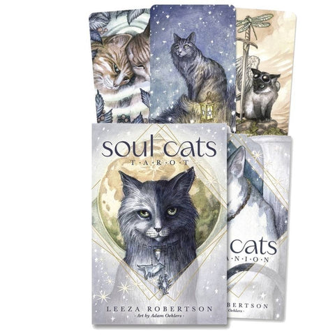 Llewellyn: Soul Cats Tarott kortos - HOBI.LT 🇱🇹