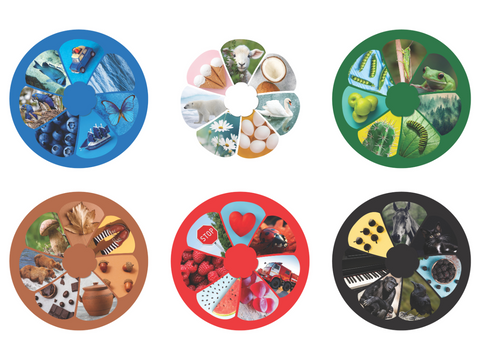Lavinamoji maksi dėlionė „Colours“ – 96 det., 12 spalvų gėlyčių, 3–6 m., PIO