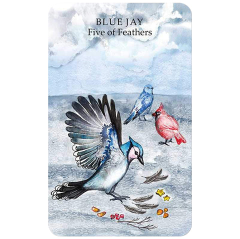 Cico Books: Spirit Animal Tarot kortos - HOBI.LT 🇱🇹