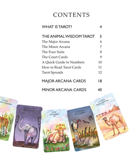 Cico Books: Spirit Animal Tarot kortos - HOBI.LT 🇱🇹