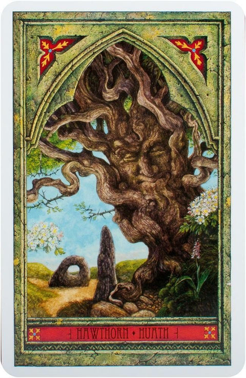 Welbeck Publishing: Spirit Of Nature Oracle kortos - HOBI.LT 🇱🇹