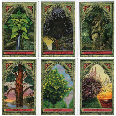 Welbeck Publishing: Spirit Of Nature Oracle kortos - HOBI.LT 🇱🇹