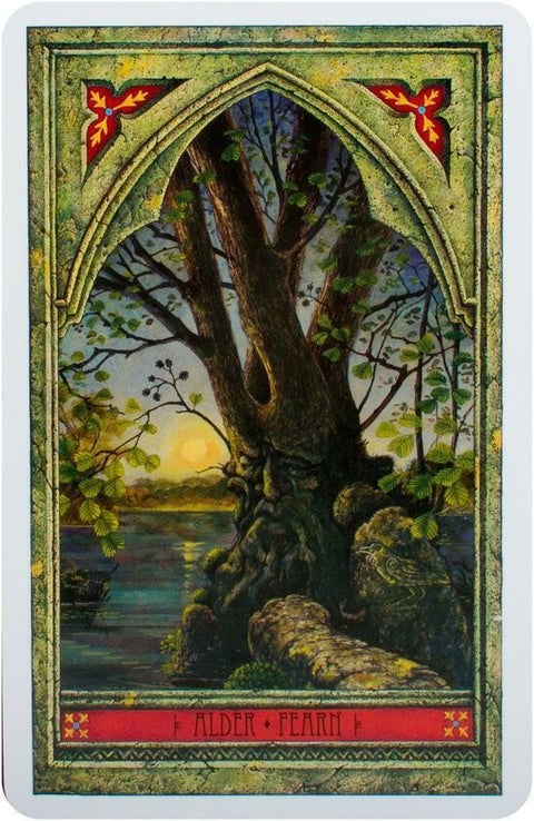 Welbeck Publishing: Spirit Of Nature Oracle kortos - HOBI.LT 🇱🇹