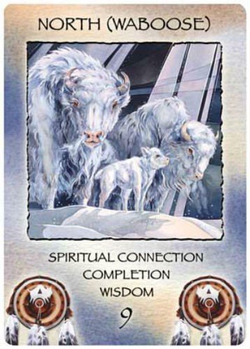 US Games Systems: Spirit Of The Wheel Meditation kortos - HOBI.LT 🇱🇹