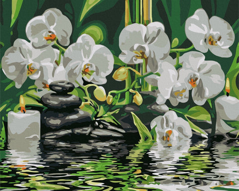 Paveikslas baltais orchidėjų žiedais ant tamsiai žalio fono su rieduliais, žvakėmis ir vandens atspindžiu (artimas planas)