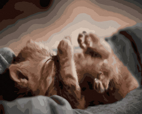 Tapymas pagal skaičius — oranžinio katinėlio gulėjimo iš viršaus kompozicija su drobės tekstūra, 40×50 cm