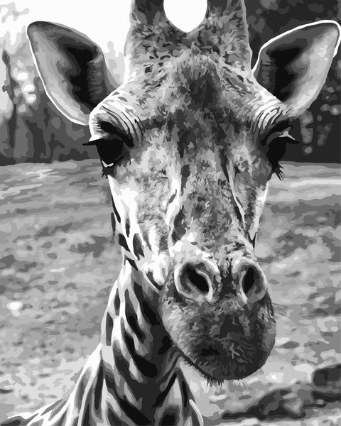 Wizardi: Tapybos pagal skaičius rinkinys: F010 Curious giraffe 40*50 - HOBI.LT 🇱🇹