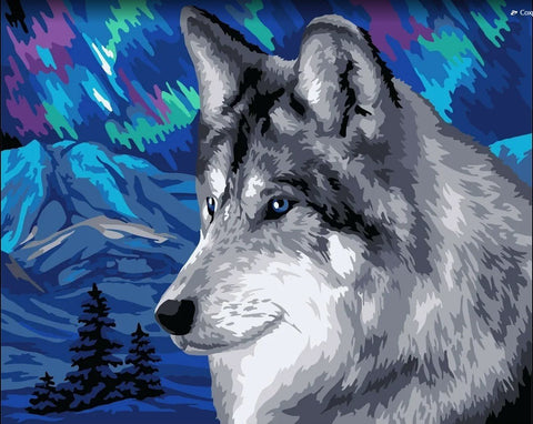 Piešinys pagal skaičius vilkas – didelis 40×50 cm pilkų tonų portretas su mėlyna šiaurės pašvaiste, artimas planas