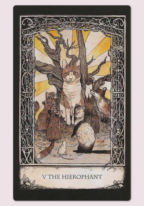 Cico Books: Tarot of Tales kortos ir naudojimosi vadovas Cico Books - HOBI.LT 🇱🇹