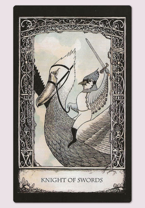 Cico Books: Tarot of Tales kortos ir naudojimosi vadovas Cico Books - HOBI.LT 🇱🇹