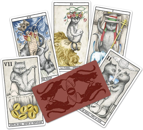 tarot kortos su rankų piešimo stiliaus kačių iliustracijomis, išskleistos sklaidoje, matomas raudonas nugarėlis