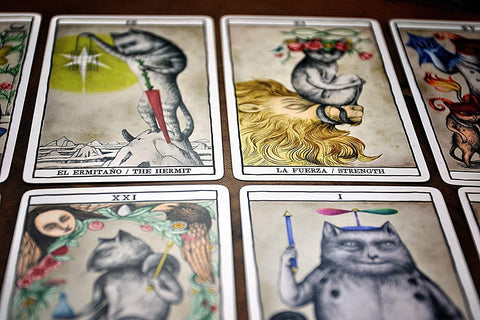 Tarot kortos su katėmis – arti fotografuotas kampas, viršutinėje eilėje The Hermit ir Strength kortos