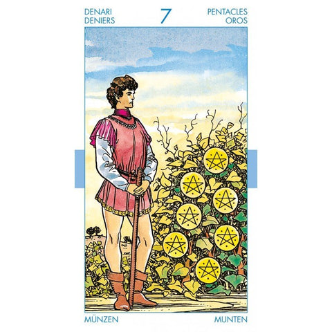 Tarot korta Septyni monetų (Rider–Waite) — vyras rožinėje tunikoje stovi prie krūmo, kuriame septyni geltoni pentakliai