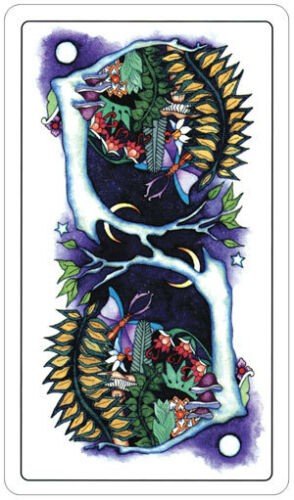 US Games Systems: Tarott Of A Moon Garden kortos - HOBI.LT 🇱🇹