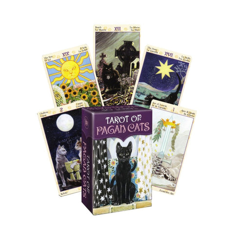 Tarot kortos Pagan Cats – violetinė dėžutė priekyje ir penkios išskleistos pavyzdinės kortos su katėmis